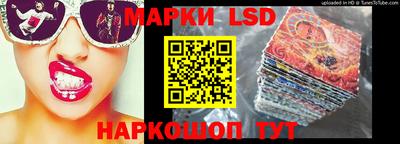 гидра Вязьма