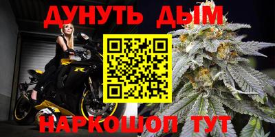 гидра Вязьма
