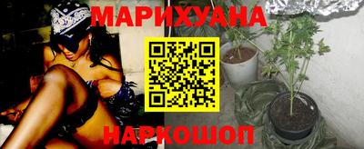 гидра Вышний Волочёк
